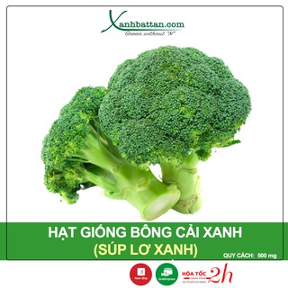 Hạt Giống Bông Cải Xanh (Súp Lơ Xanh) Phú Nông Gói 500 mg