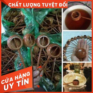 [TRỢ GIÁ] GÁO MÚC RƯỢU MỸ NGHỆ DỪA KIỂU DÁNG NHỎ XINH