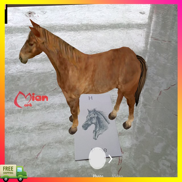 Bộ thẻ animal 4d hình ảnh động thực vật sinh động - MIAN MART