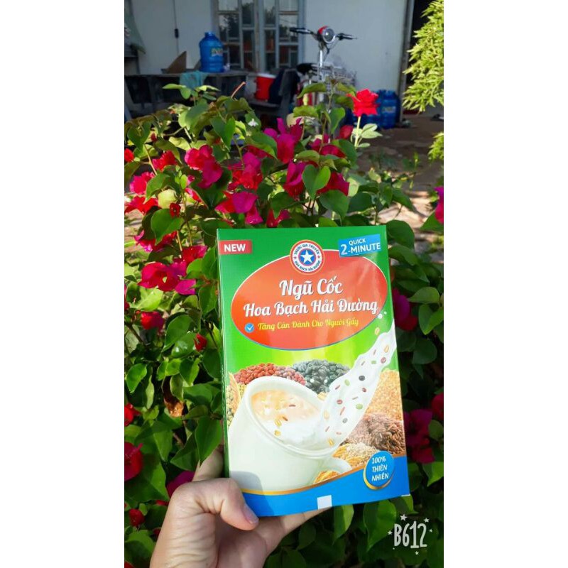 Bột ngũ cốc Hoa Bạch Hải Đường handmade 500g loại mới