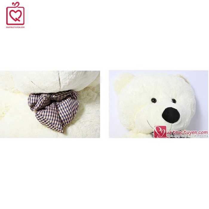 Gấu bông 1m8 khổng lồ Teddy Boyds