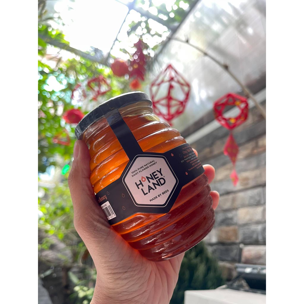 Bộ 3 chai mật ong rừng hoa Xuyến Chi Honeyland tổng 1500g mật ong thiên nhiên nguyên chất