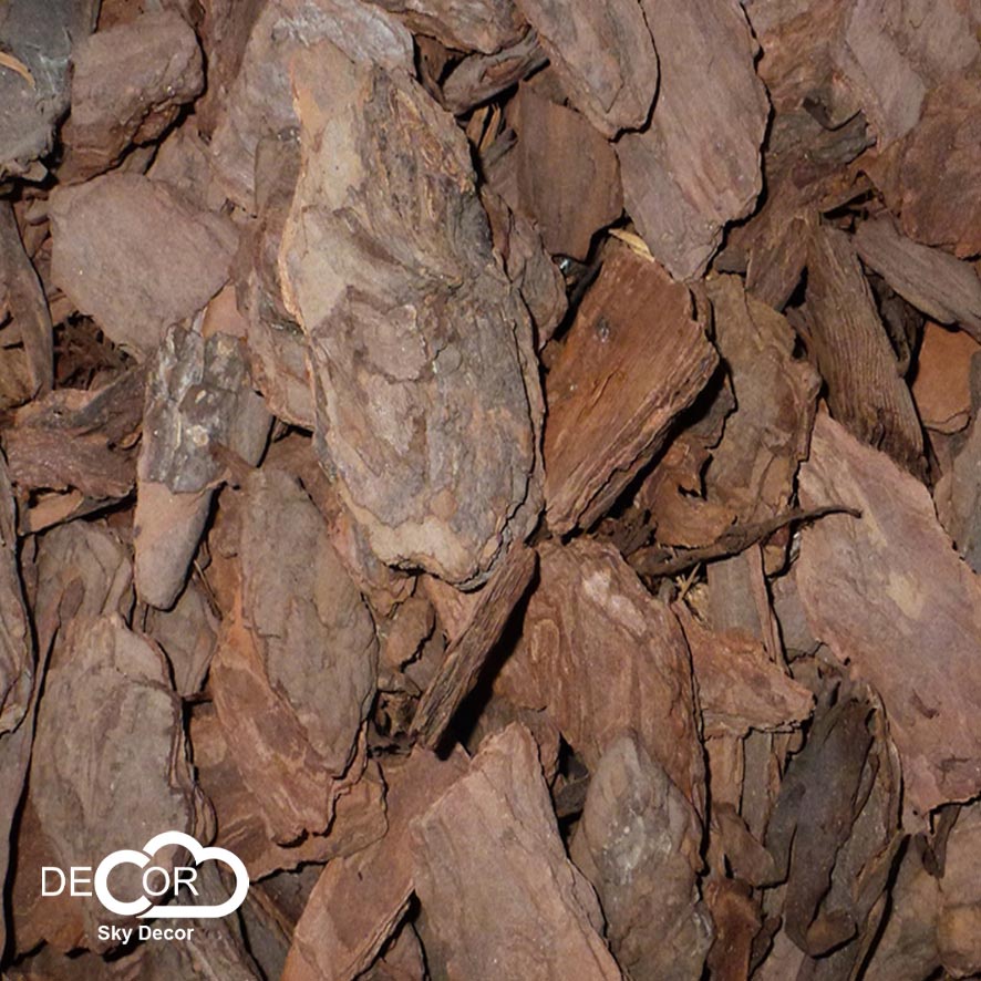 Vỏ thông khô Sky Decor phong cách vintage, cổ điển - Chụp ảnh phong cách mộc