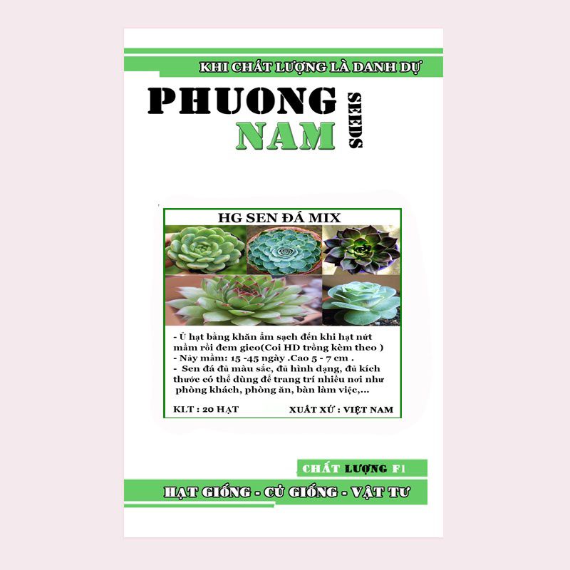 Hạt giống sen đá chất lượng F1 túi 20 hạt