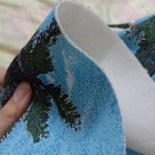 Bikini cây dừa