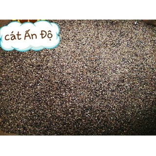 Cát buddy ấn độ