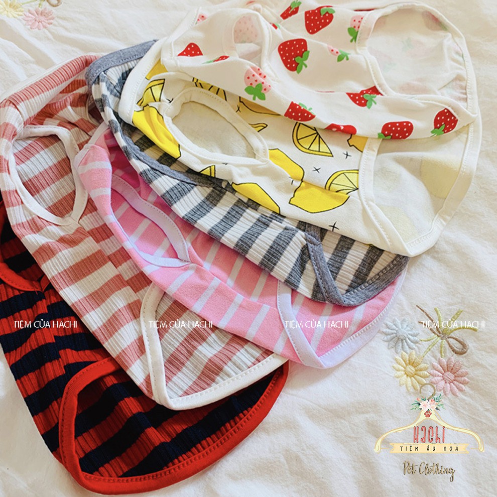 Áo 3 lỗ cho thú cưng