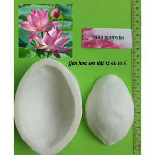 Gân khối silicon hoa sen