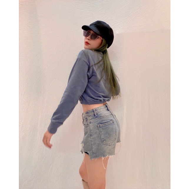 Áo nỉ da cá dài tay bo thun in sư tử vnxk