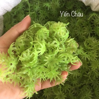 Handmade - 100G Đài hoa cúc thích hợp làm hoa cúc tana, hoạ mi...giúp hoa giữ dáng, giá quá hợp lí