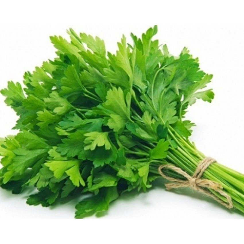 Hạt giống Mùi tây