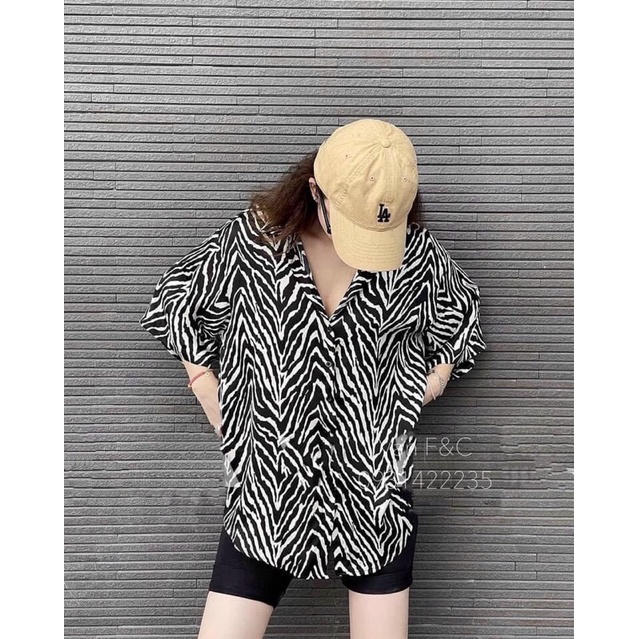 SET SƠ MI NGỰA VẰN QUẦN LEGGING LỬNG