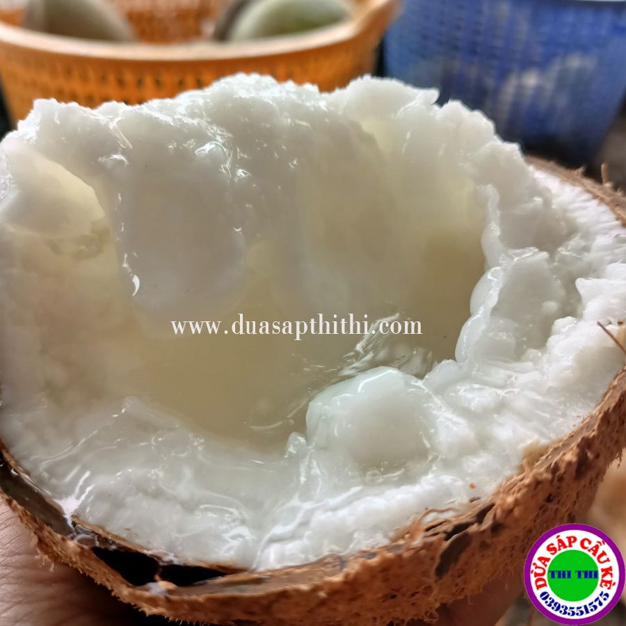 Dừa Sáp Bi Đặc