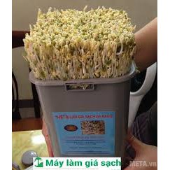 Máy Làm Giá Đỗ Sạch ĐT 103 Phiên Bản Tự Động