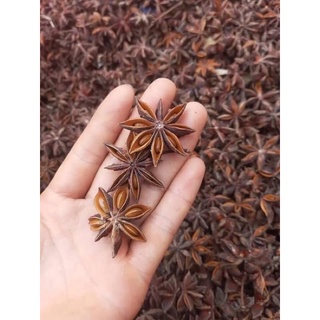 Hoa hồi khô lạng sơn - đại hồi