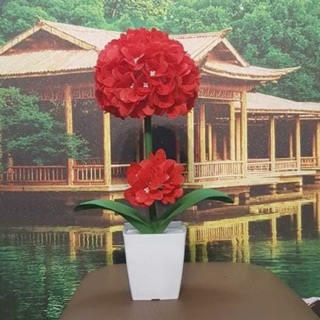 Com bo 20 bộ cẩm tú cầu