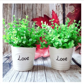 1 Chậu cỏ giả cỏ nhân tạo cho Trang trí nhà - Cỏ chậu Love