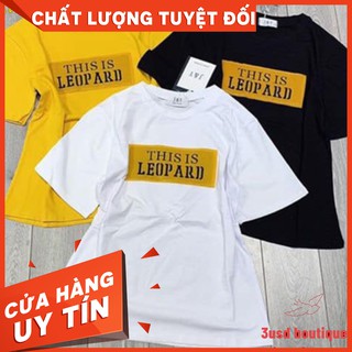 Km Áo thun nữ in chữ this is leopard chuẩn