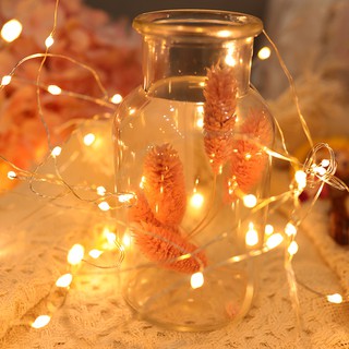 [KHO SI SIÊU RẺ] Dây đèn Fairy Light 5 mét (cắm điện)