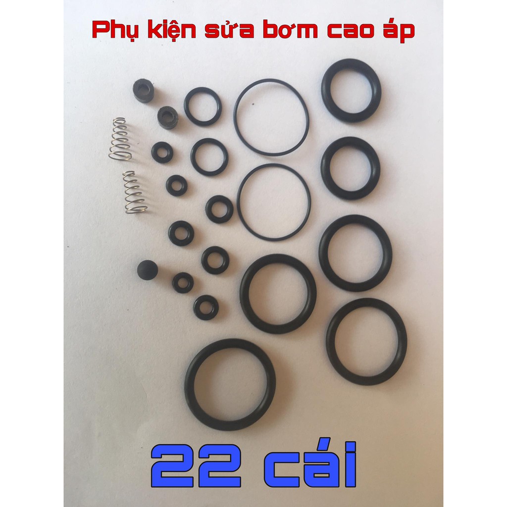 Bộ Ron, Gioăng, Doăng, vòng đệm cho Bơm Cao Áp.