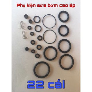 Bộ ron, gioăng, doăng, vòng đệm cho bơm cao áp.