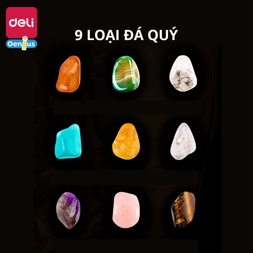 Bộ Khảo Cổ Truy Tìm Kho Báu Deli Cho Bé - Đồ Chơi Giáo Dục Kích Thích Trí Sáng Tạo - Kèm Dụng Cụ Khảo Cổ, Kệ Trưng Bày