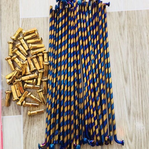 Bộ căm vắng osaki