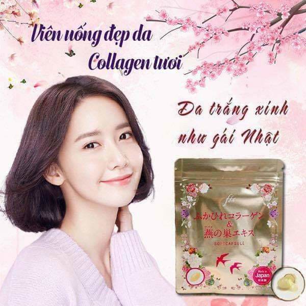 Viên uống collagen tươi koharu softcapsule chiết xuất tổ yến nhật bản - ảnh sản phẩm 7