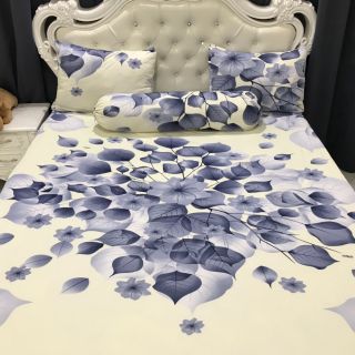 Drap thun hàn quốc