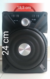 Loa karaoke btooth p88/p89 ( tặng kèm mic )