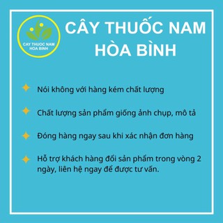 100g táo đen ngon dẻo (đại táo)