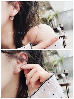 Bông tai hàn quốc 711