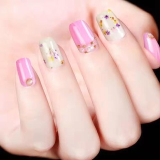set hoa khô chùm trang trí móng xinh ( 12 màu / set)