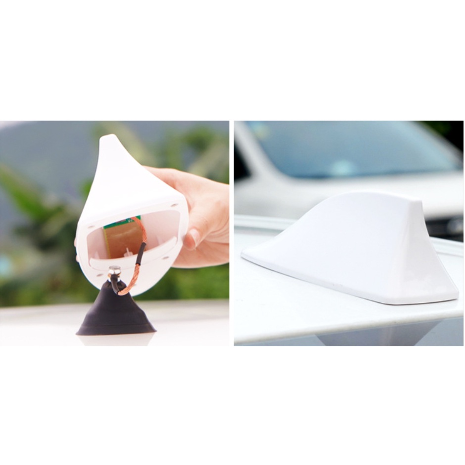 vây cá angten ô tô - Vây cá mập thể thao nắp trên ô tô