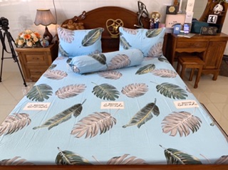 Drap cotton Hàn Quốc