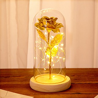 Đèn hoa hồng mạ vàng 24k có đèn LED hộp quà tặng đèn trang trí trưng bày - Asam