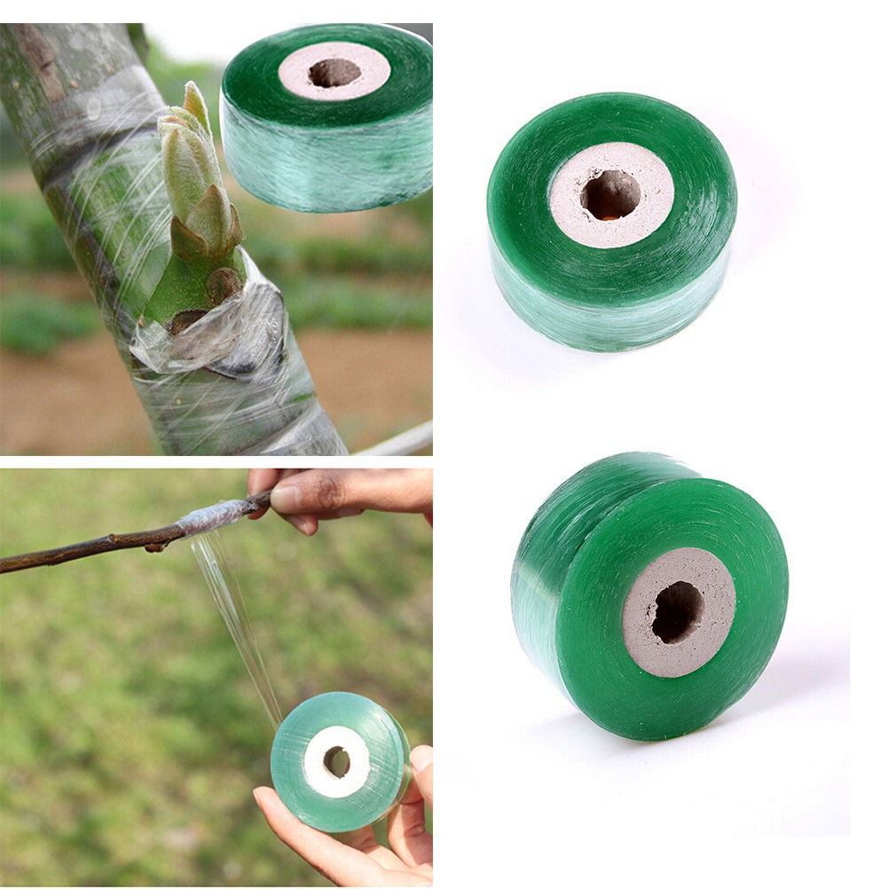 Cuộn Băng Dính 2cm * 100m Hỗ Trợ Ghép Cây
