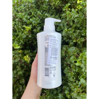 Dầu gội clear thái lan