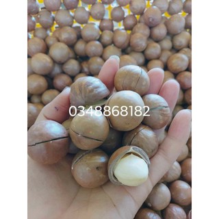 Hạt Macca tách nứt size nhỏ 0.5kg