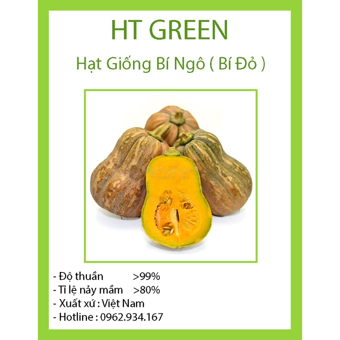 Hạt giống Bí Ngô đỏ TXBTD