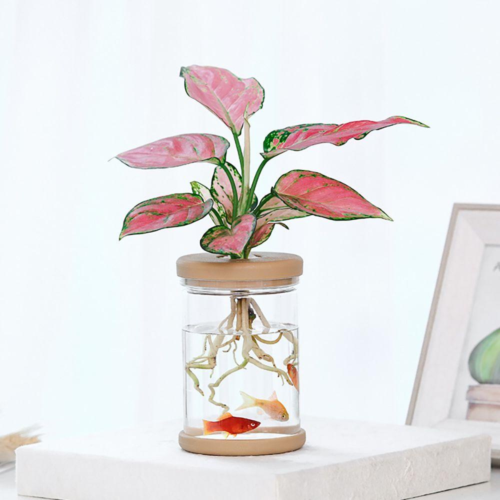 1 Vật Liệu Resin Thủy Tinh Trong Suốt Tươi Mới Trang Trí Trong Nhà / Ngoài Trời