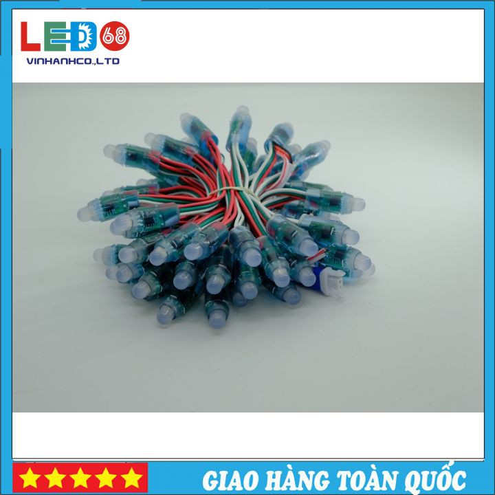 Đèn Led Đúc F8 Full Color IC 1903