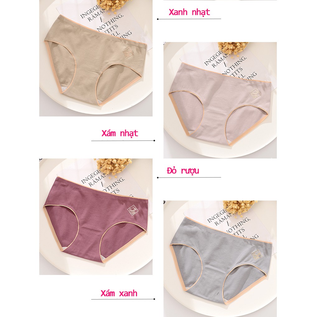 [CÓ VIDEO] Quần lót nữ [ĐƯỢC CHỌN MÀU], quần lót cotton kháng khuẩn không viền may chất đẹp thấm hút mồ hôi QL19 | BigBuy360 - bigbuy360.vn