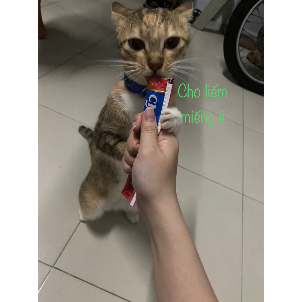 Súp thưởng Ciao Churu pate cho mèo mix vị