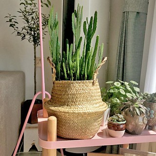 Giỏ đan mây đựng quần áo / đồ dùng đa dụng
