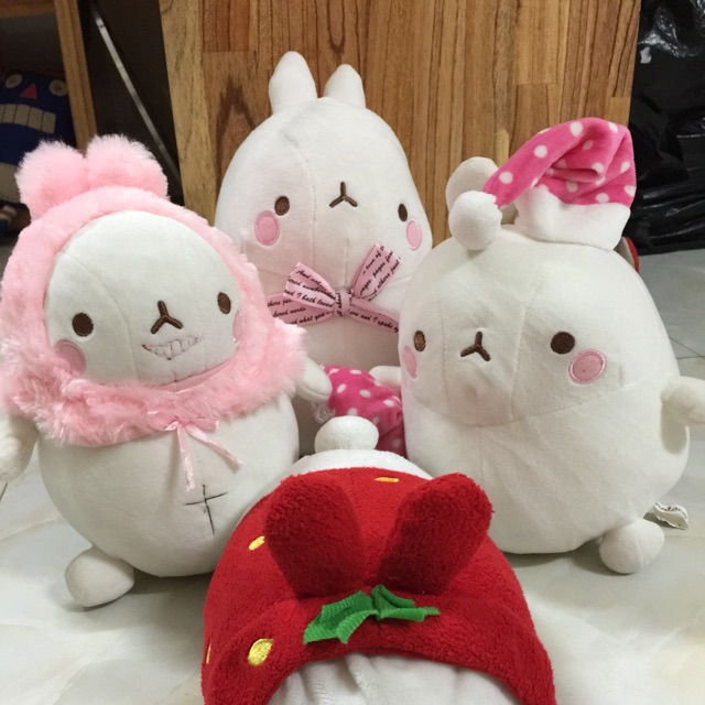 Molang gấu!