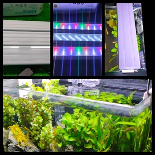 Đèn Led Jenneca Máng Nhôm- Gác Thành Bể Cá Cảnh Bể Thủy Sinh 20cm,30cm,40cm,50cm,60cm - (Led Trắng, Màu)