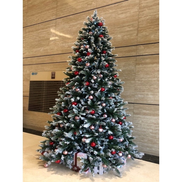 HÌNH THẬT 2022 Cây thông tuyết Giáng Sinh quốc dân best seller  - cây thông noel lá tuyết