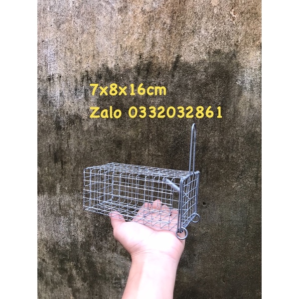 15 bẫy chuột đường mòn.7.8.16cm
