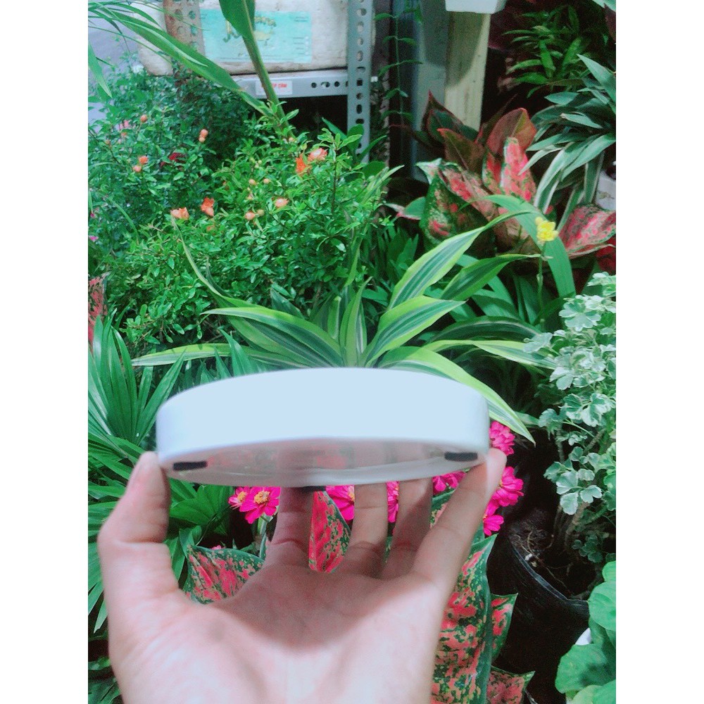 Đĩa Lót Chậu (đường kính 12cm)